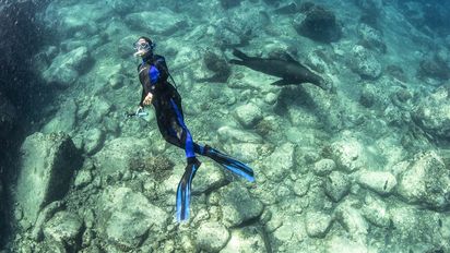 Isla Cerralvo es uno de los lugares favoritos para realizar snorkel o buceo recreativo para principiantes e intermedios.