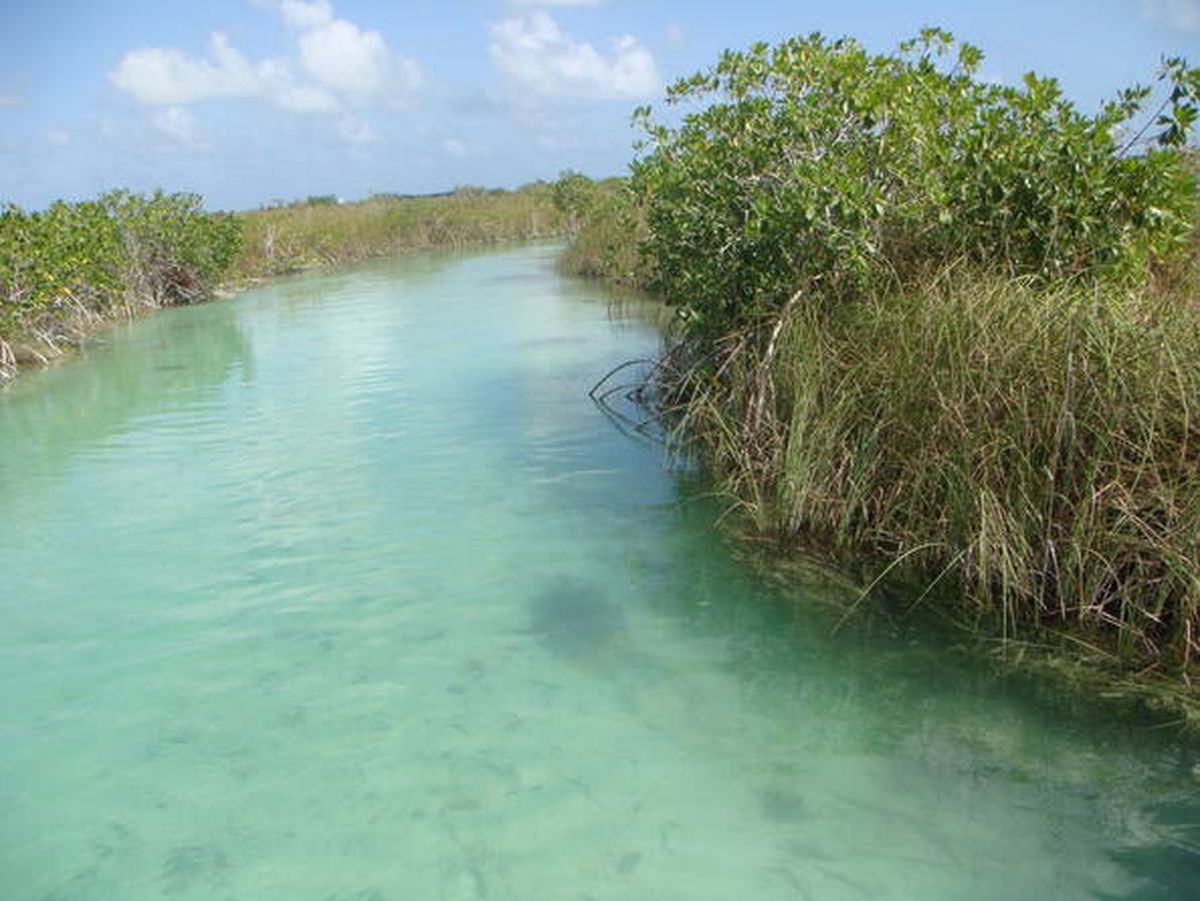 Descubre que tiene esta reserva enclavada en Quintana Roo.