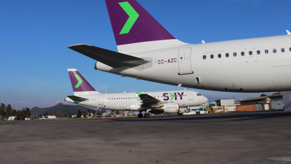 Sky Airline tiene un plazo de 10 días para entregar al Sernac los antecedentes del presunto caso de discriminación.&nbsp;