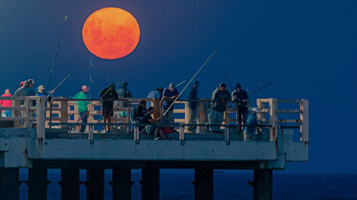 Pesca en la escollera de Miramar. Pesca en la escollera de Miramar.