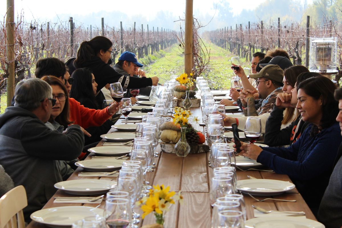 La ruta Sabores del Maule invita a conocer viñas históricas, participar en catas guiadas y disfrutar del paisaje sureño acompañado de un almuerzo maridado.