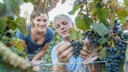 Salta: 3 actividades originales para disfrutar este verano