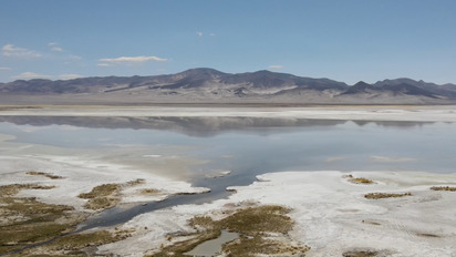 Tarapacá: crean nuevo Parque Nacional Salar del Huasco