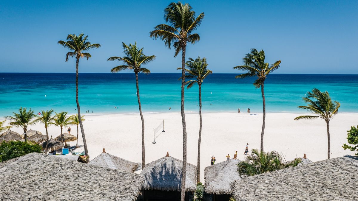 De Palm Tours ofrece experiencias inolvidables en Aruba.