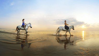 En Florida, la naturaleza recibe al viajero con todo su esplendor.