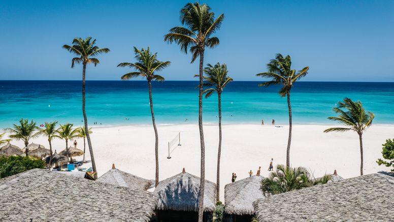 De Palm Tours ofrece experiencias inolvidables en Aruba.