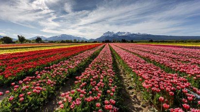 Argentina: a los ocho pueblos seleccionados se les suma Trevelin, Chubut, que luego de no ser seleccionado en 2023 encaró un proceso de mejora que lo posicionó como candidato directo este año.