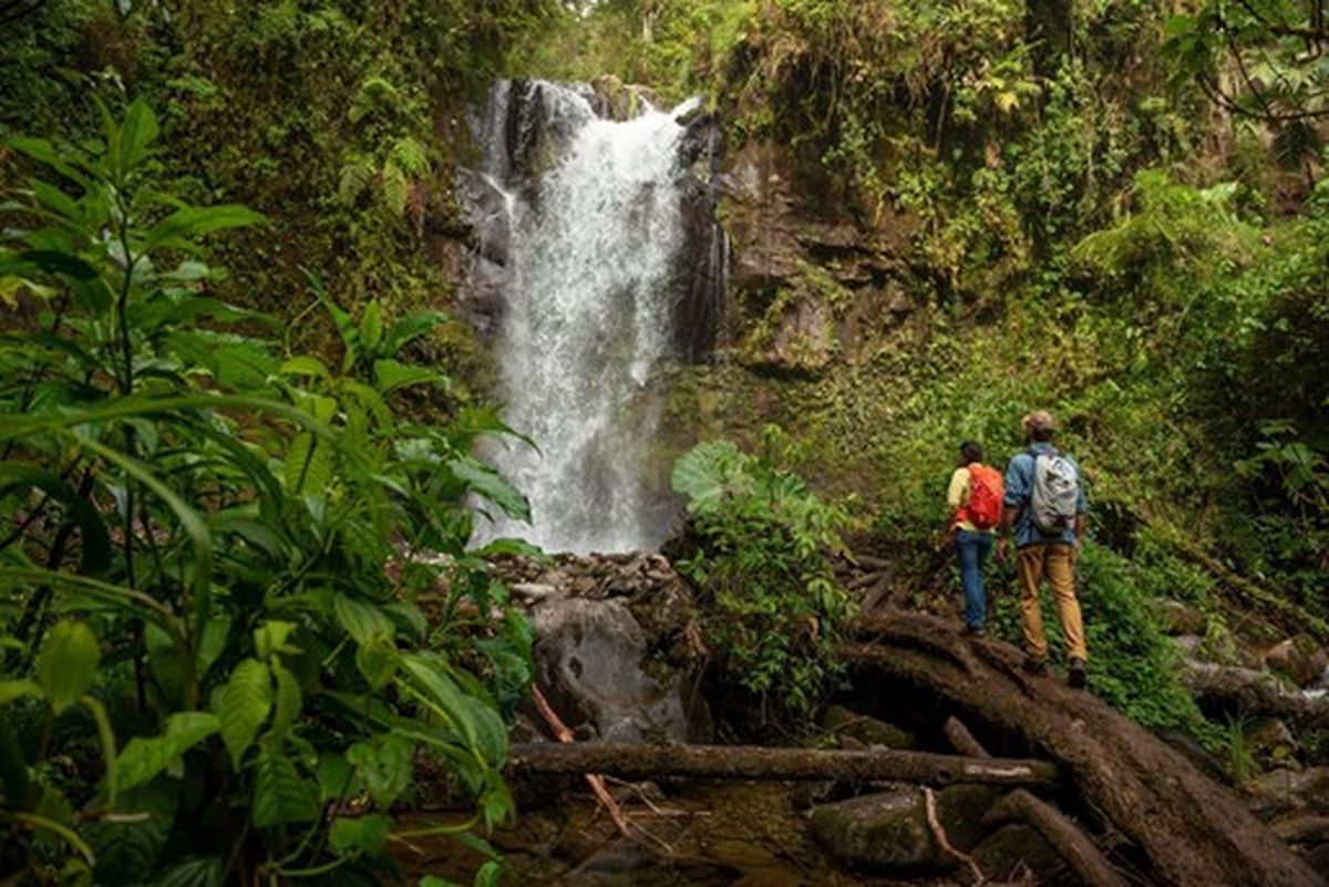 La nueva póliza sobre uso de mascarillas en Panamá es una buena noticia para que los excursionistas exploren una amplia gama de caminatas increíbles para todos los niveles de experiencia