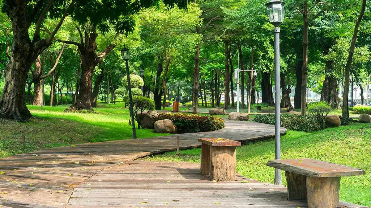 Conoce los lugares indicados para hacer un picnic en Guadalajara.
