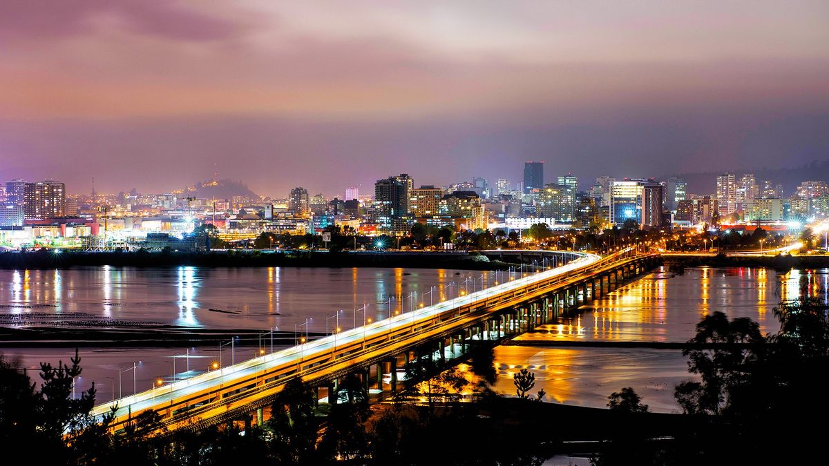 Durante el festival, la ciudad ofrece gastronom&iacute;a, paseos urbanos y actividades culturales para los visitantes.