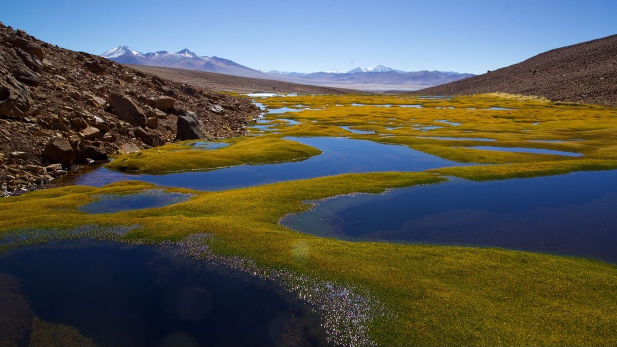 Ojos del Salado en la Región de Atacama.
