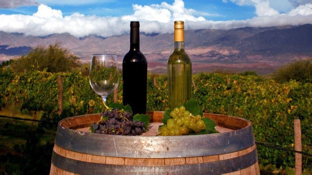El norte argentino tiene grandes vinos y el de Tucumán es uno de ellos. El norte argentino tiene grandes vinos y el de Tucumán es uno de ellos.