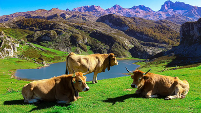 Vista de un paisaje en Asturias