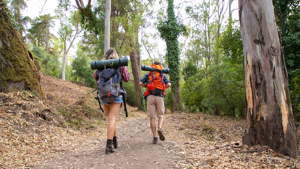 Pereira permite recorrer senderos rodeados de bosque andino y una de las mayores concentraciones de biodiversidad del Eje Cafetero.