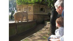 altText(Cosa de chicos)}