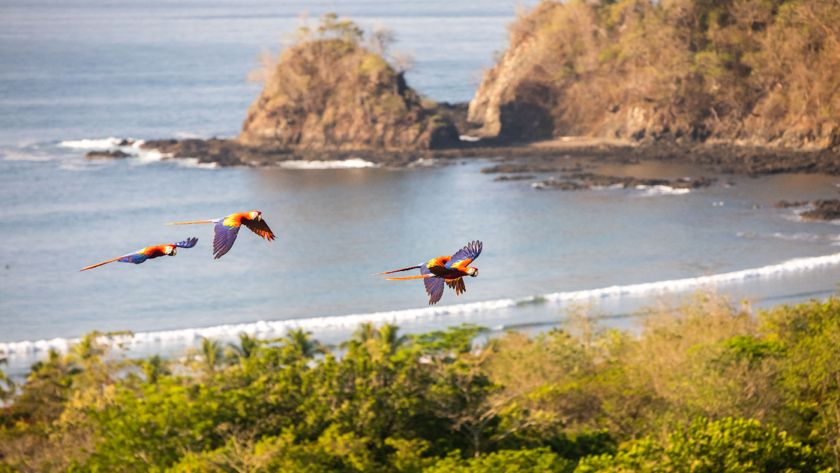 Costa Rica combina aventura, descanso y cultura en una propuesta que dialoga con las nuevas motivaciones del viajero colombiano.