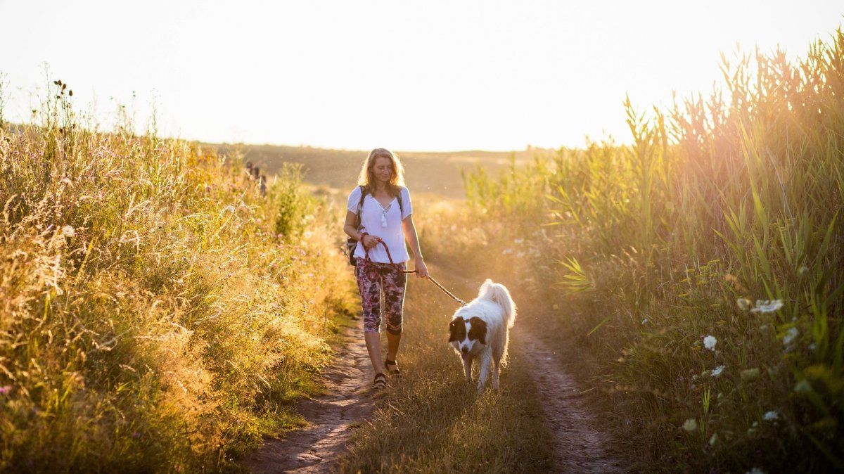 Descubrí los mejores destinos cerca de Buenos Aires para hacer escapadas con mascotas.