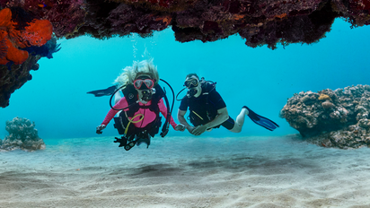 ACT Travel invita a Islas Caimán, destino que combina playas de aguas cristalinas, vida marina, gastronomía y naturaleza en una propuesta caribeña que busca ganar terreno en el mercado argentino.