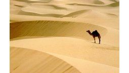 un encuentro con la historia