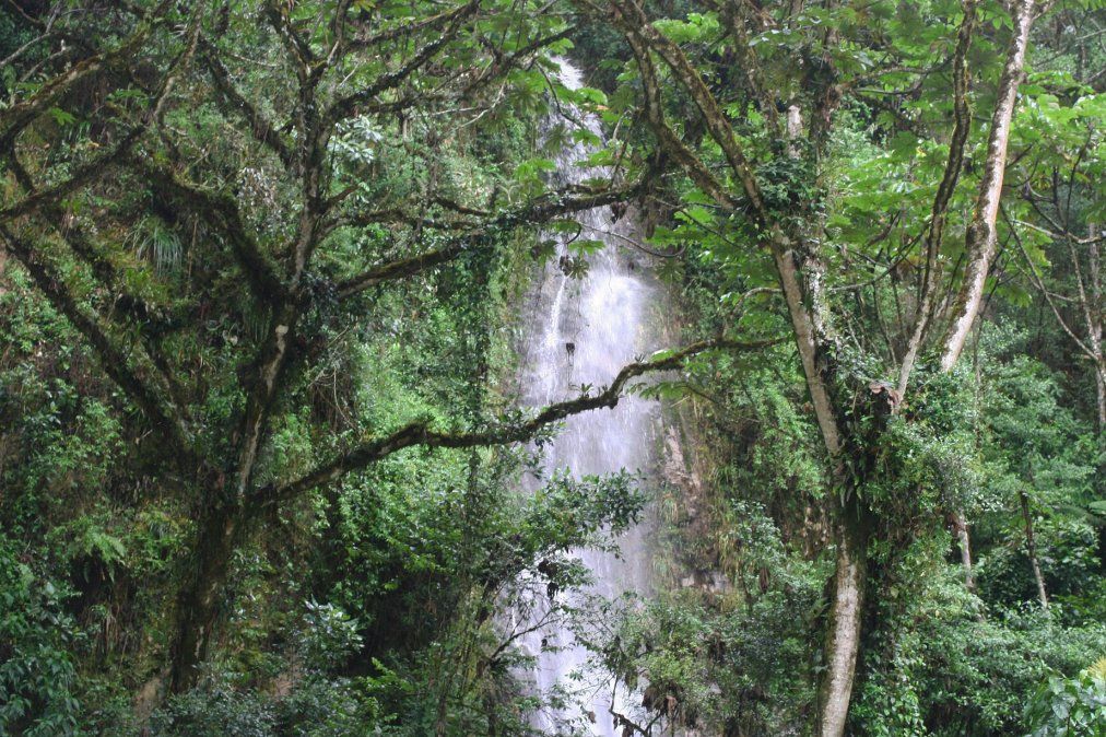 Unesco reconoció a Avireri-Vraem como Reserva de Biosfera - Ladevi Medios y Soluciones Unesco reconoció a Avireri-Vraem como Reserva de Biosfera
