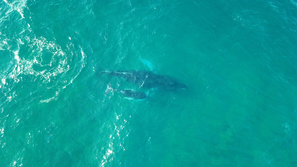 El destino combina relajo con actividades en contacto con el entorno.