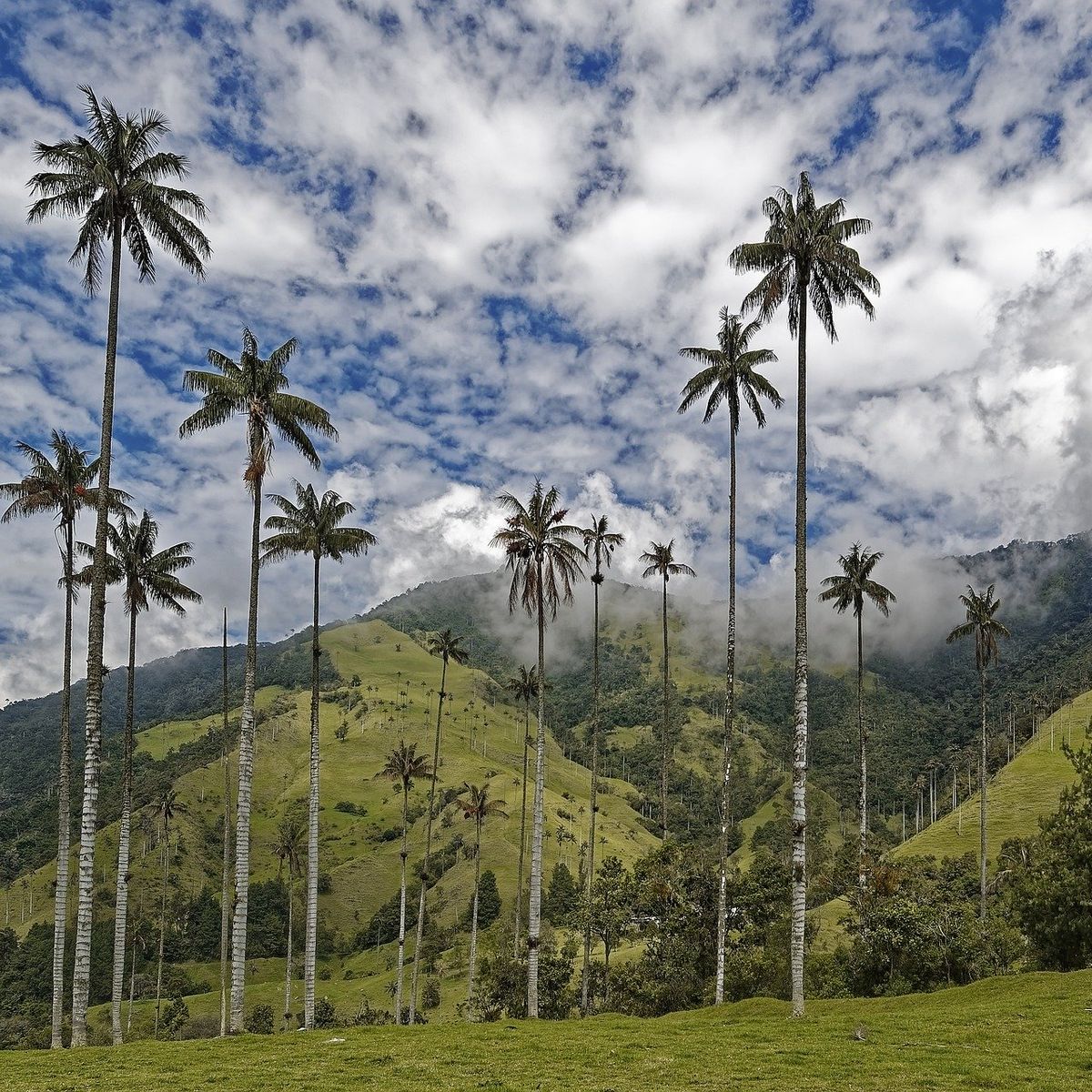 Colombia Riqueza Natural Recibio Mas De 1 000 Postulaciones