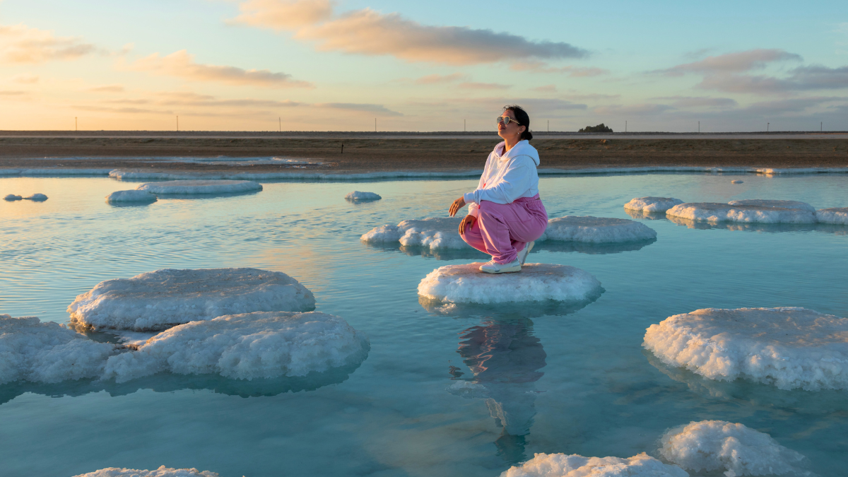 Disfruta estas experiencias imperdibles en la península de Baja California.