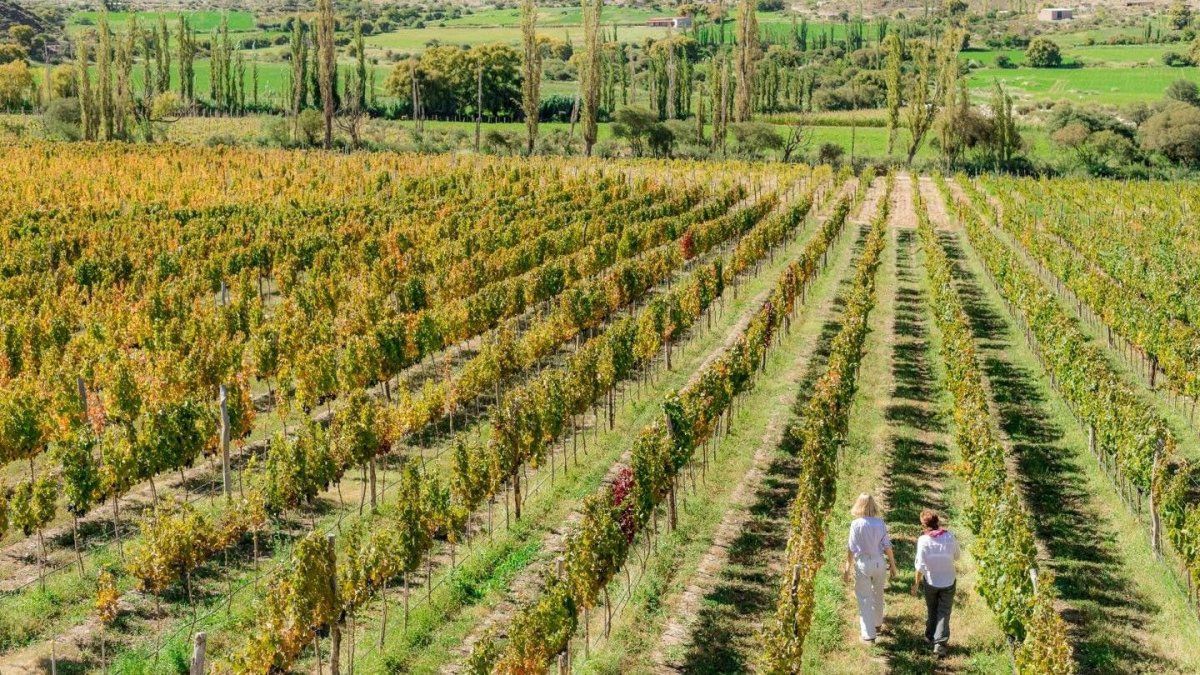 Semana Santa 2026: esteviaje grupal que inicia en Salta invita a conocer los paisajes más hermosos delnorte argentino.