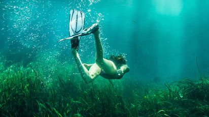 Florida ofrece lugares ideales para vivir experiencias submarinas inolvidables.&nbsp;