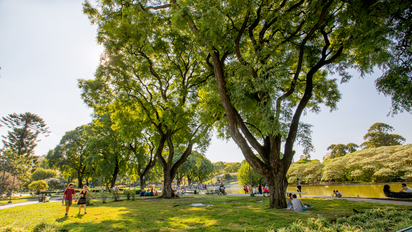 Se viene un fin de semana largo con grandes propuestas en Buenos Aires.