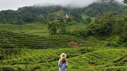 Malasia es un país impresionante por sus rutas.