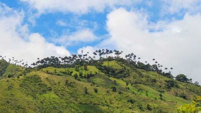 Tolima cuenta con destinos naturales únicos en donde vivirás experiencias inolvidables.