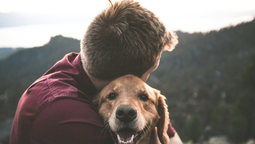 Viajar con mascotas es una tendencia al alza.