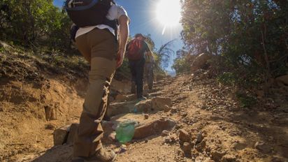 Conaf: Así opera la opción de pago en efectivo con Sencillito