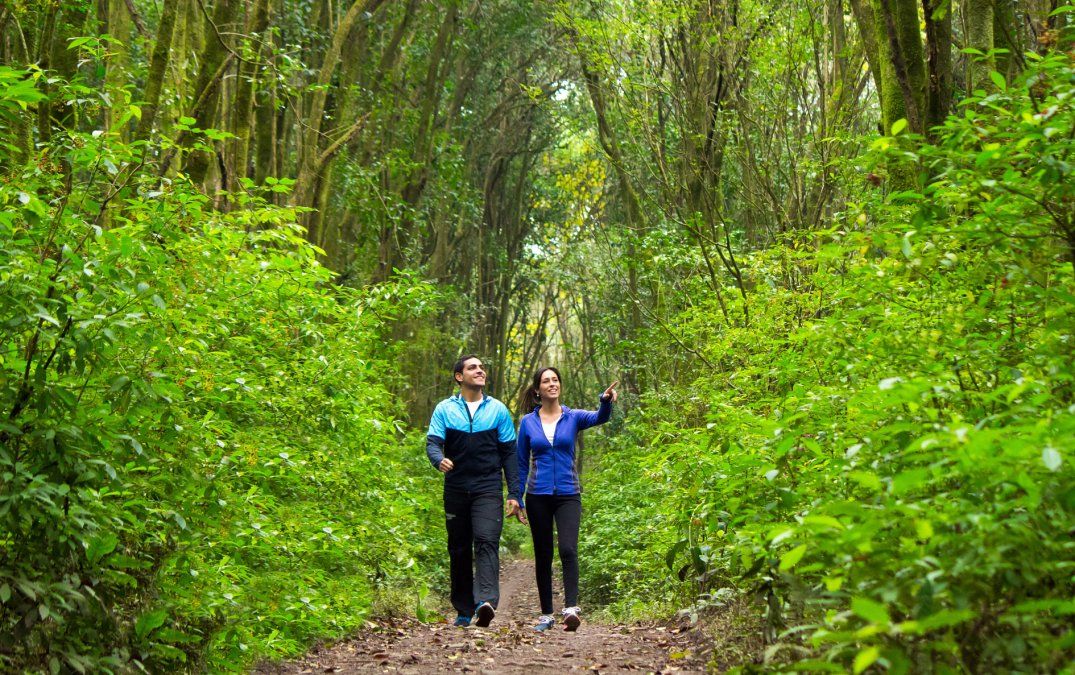 La excursi&oacute;n a las Yungas de Tucum&aacute;n es una de las m&aacute;s destacadas para realizar en estas vacaciones de invierno 2024.