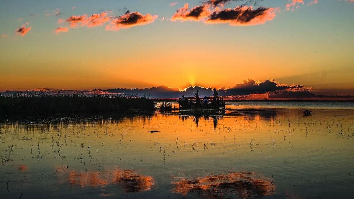 Escapadas en Argentina: los Esteros del Iberá en Corrientes son un paisaje espectacular para visitar tanto en otoño como en primavera.
