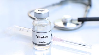 Ya no es obligatorio presentar el certificado de fiebre amarilla para ingresar a Ecuador desde países como Colombia.