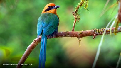 Prepárate para explorar las biodiversidad de Quito durante tus próximas vacaciones en la ciudad. Prepárate para explorar las biodiversidad de Quito durante tus próximas vacaciones en la ciudad.