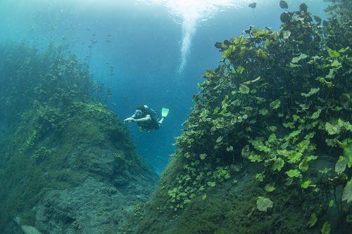 Laguna Media Luna, San Luis Potosí.