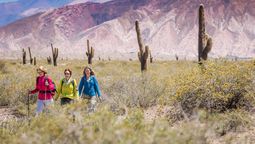 altText(Vacaciones de invierno: 3 escapadas imperdibles para disfrutar en Salta)}