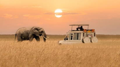 Los 5 parques más populares para safaris en África