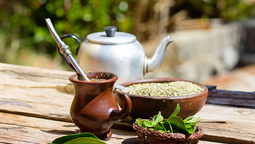 altText(Misiones: 3 imperdibles experiencias en Iguazú más allá de las Cataratas del Iguazú)}