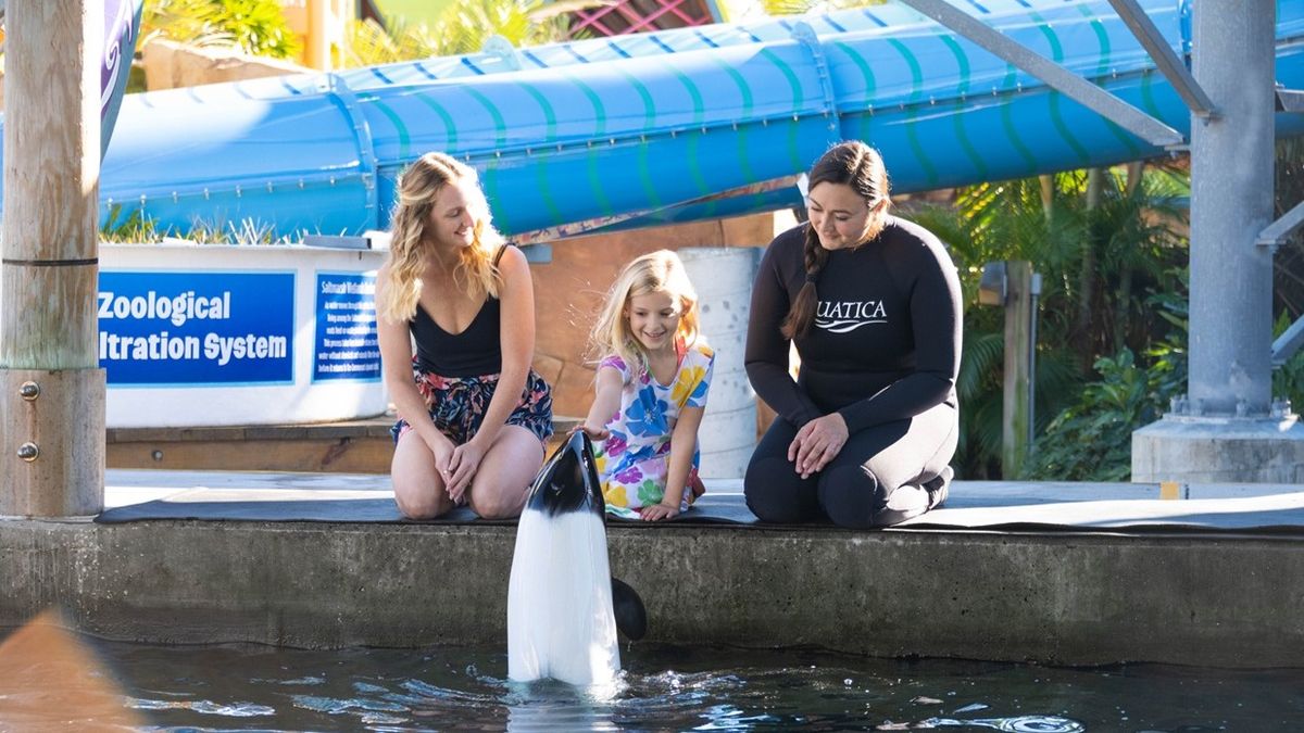 Aquatica: entretenimiento y educaci&oacute;n sobre la vida animal.
