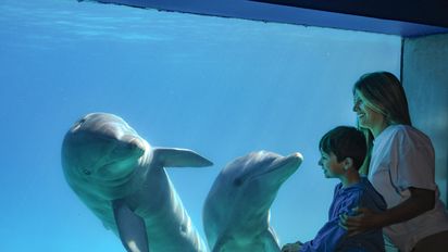 Verano en Argentina: ¿cuál es el plan ideal para los niños en vacaciones?