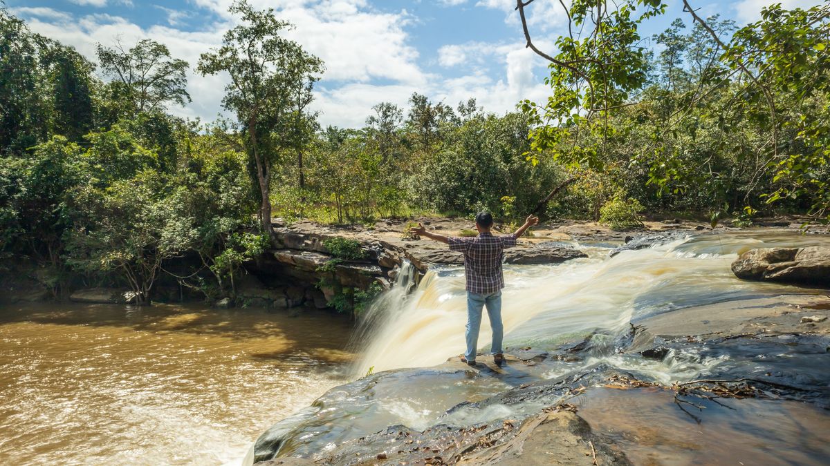 Explora el corazón del Amazonas con cinco experiencias únicas que combinan naturaleza, cultura y aventura en Leticia y sus alrededores.