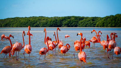 5 sitios para descubrir todas las maravillas de Yucatán