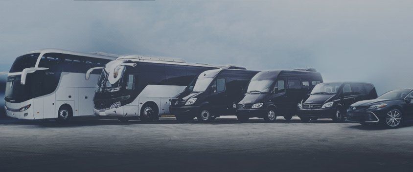 DotTransfers brinda servicios de traslados en 750 ciudades del mundo