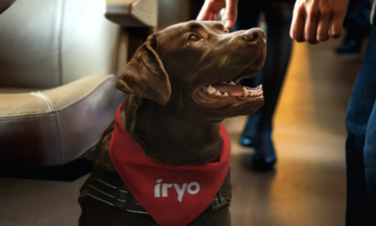 Perro durante la presentación de la prueba piloto de Iryo que permite a las mascotas viajar en sus trenes.