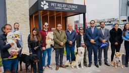 Aeropuerto de Cuenca suma espacio para mascotas.&nbsp;