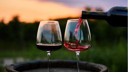 Entre Ríos: 3 bodegas para descubrir la Ruta del Vino Entrerriano